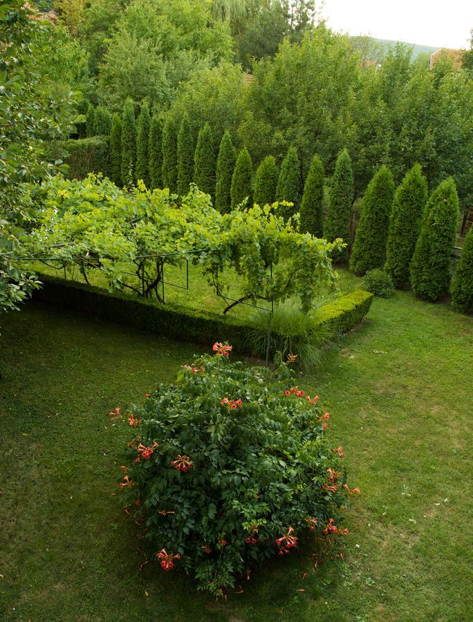 Guest House Dimitrije Niska Banja Exterior foto